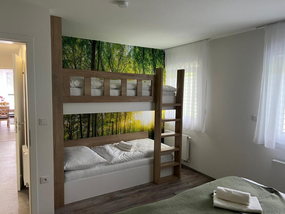 Apartman - Dolni Morava - "Sedmicka" Pro 2 Az 6 Osob Zewnętrze zdjęcie