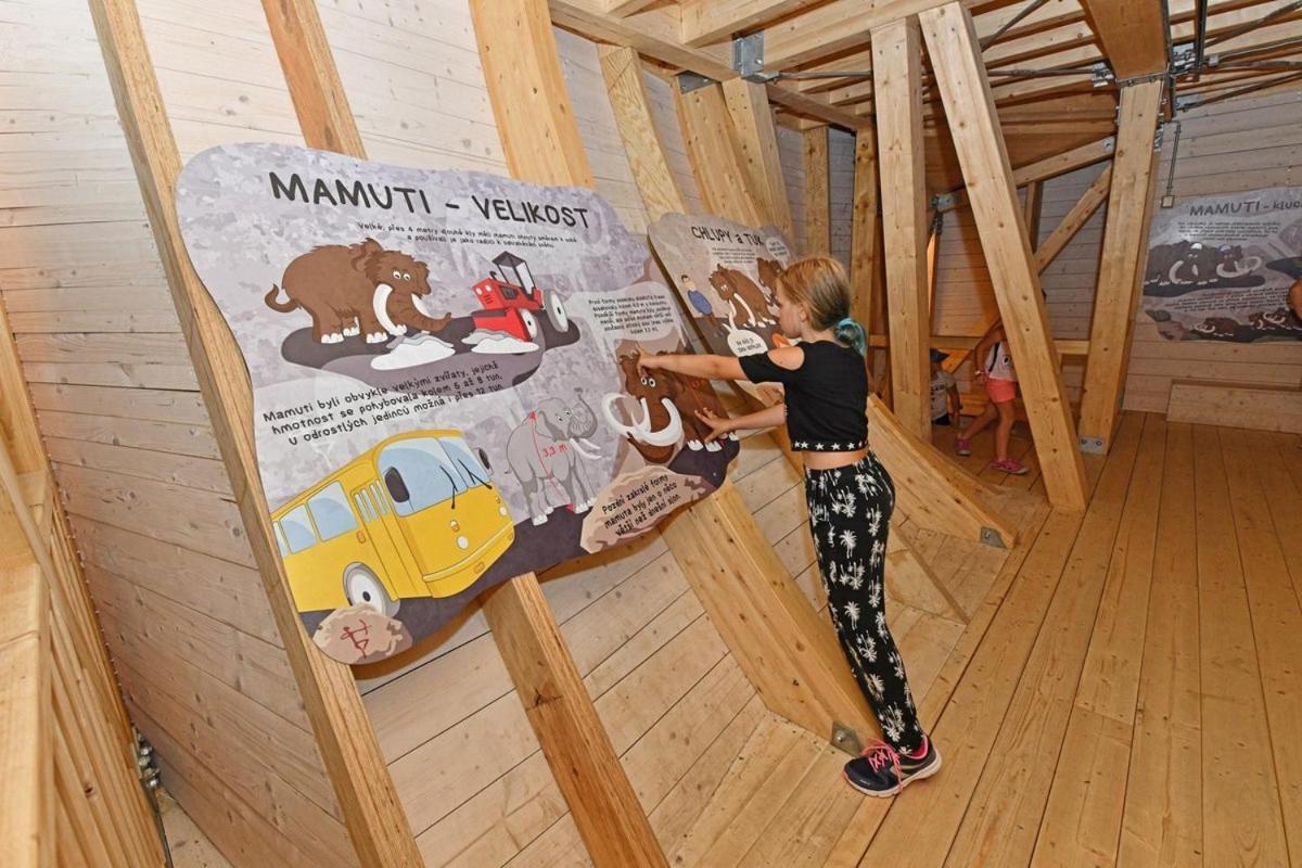 Apartman - Dolni Morava - "Sedmicka" Pro 2 Az 6 Osob Zewnętrze zdjęcie